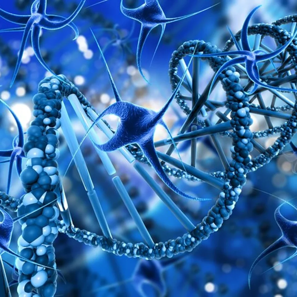 What Are Peptides and How Do They Work Feature Image